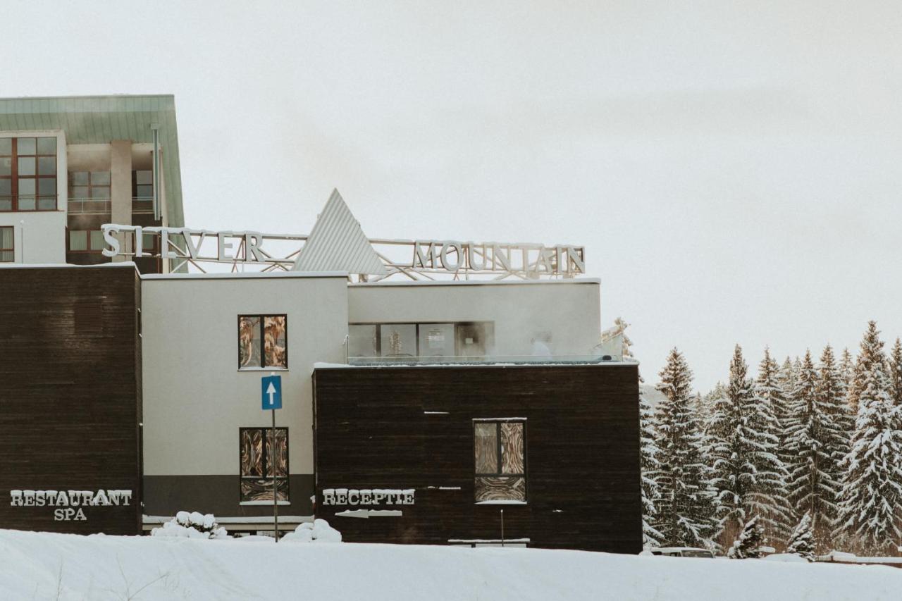 Silver Pine Apartment Poiana Brasov Buitenkant foto